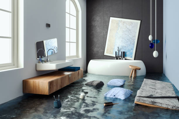 Best Residential water damage restoration  in Harbor Springs, MI