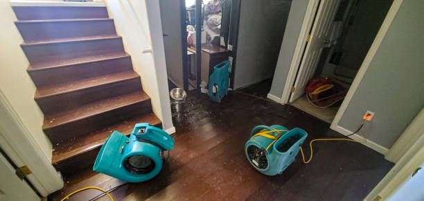 Best Water damage contractors near me  in Harbor Springs, MI