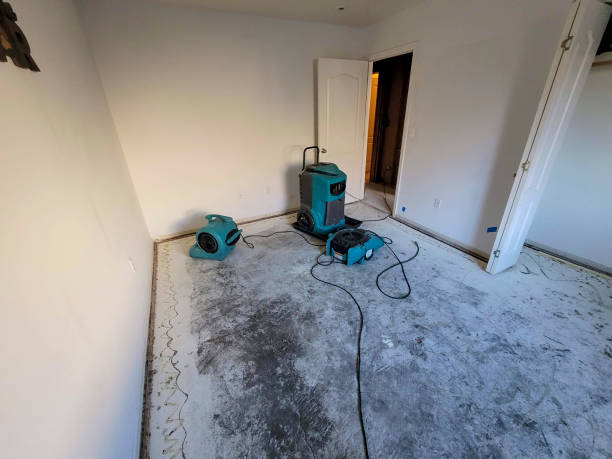 Best Ceiling water damage repair  in Harbor Springs, MI