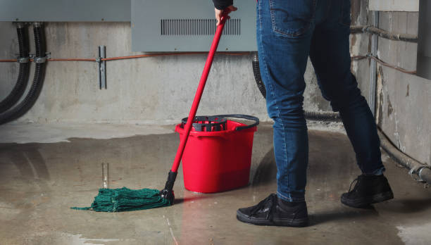Best Water damage contractors near me  in Harbor Springs, MI