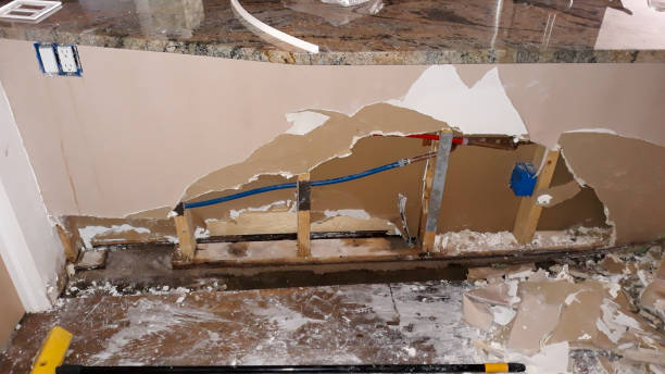  Harbor Springs, MI Water damage restoration Pros