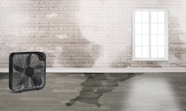 Best Water damage restoration near me  in Harbor Springs, MI