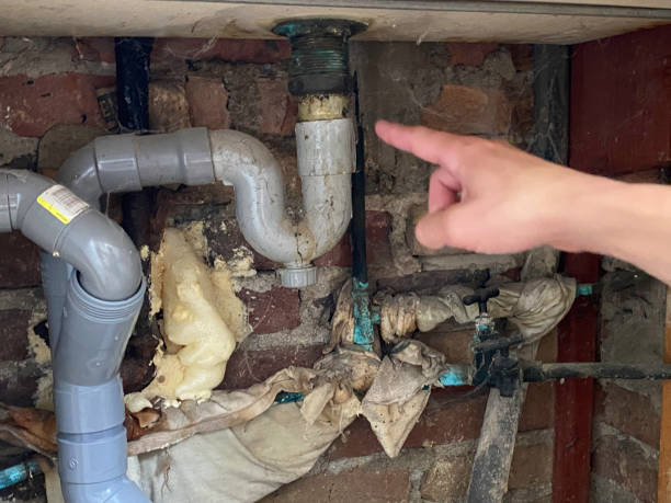 Best Flood damage cleanup  in Harbor Springs, MI