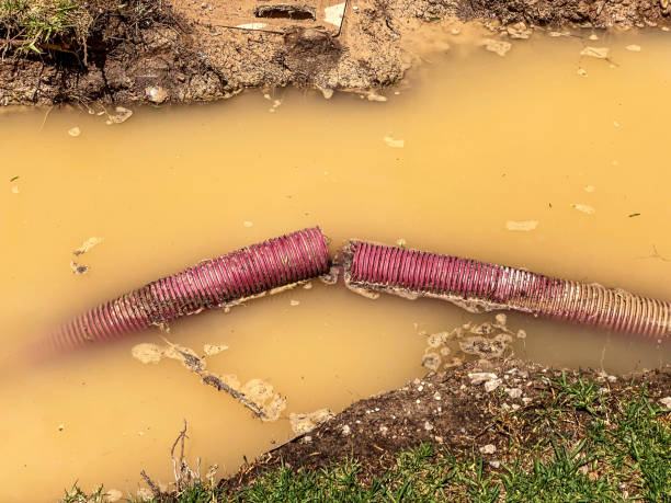 Best Emergency water damage restoration  in Harbor Springs, MI