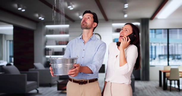 Best Water damage cleanup near me  in Harbor Springs, MI